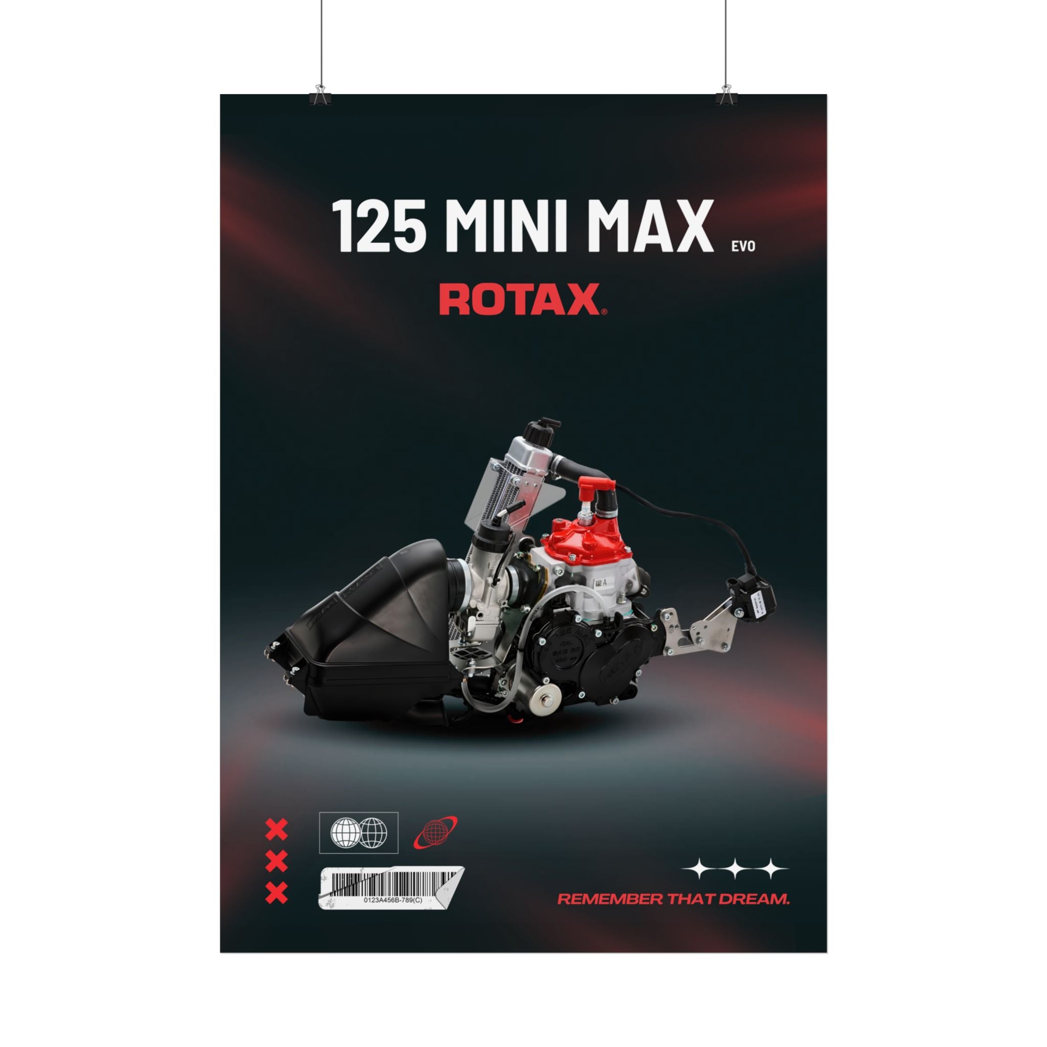 Rotax Engine Posters