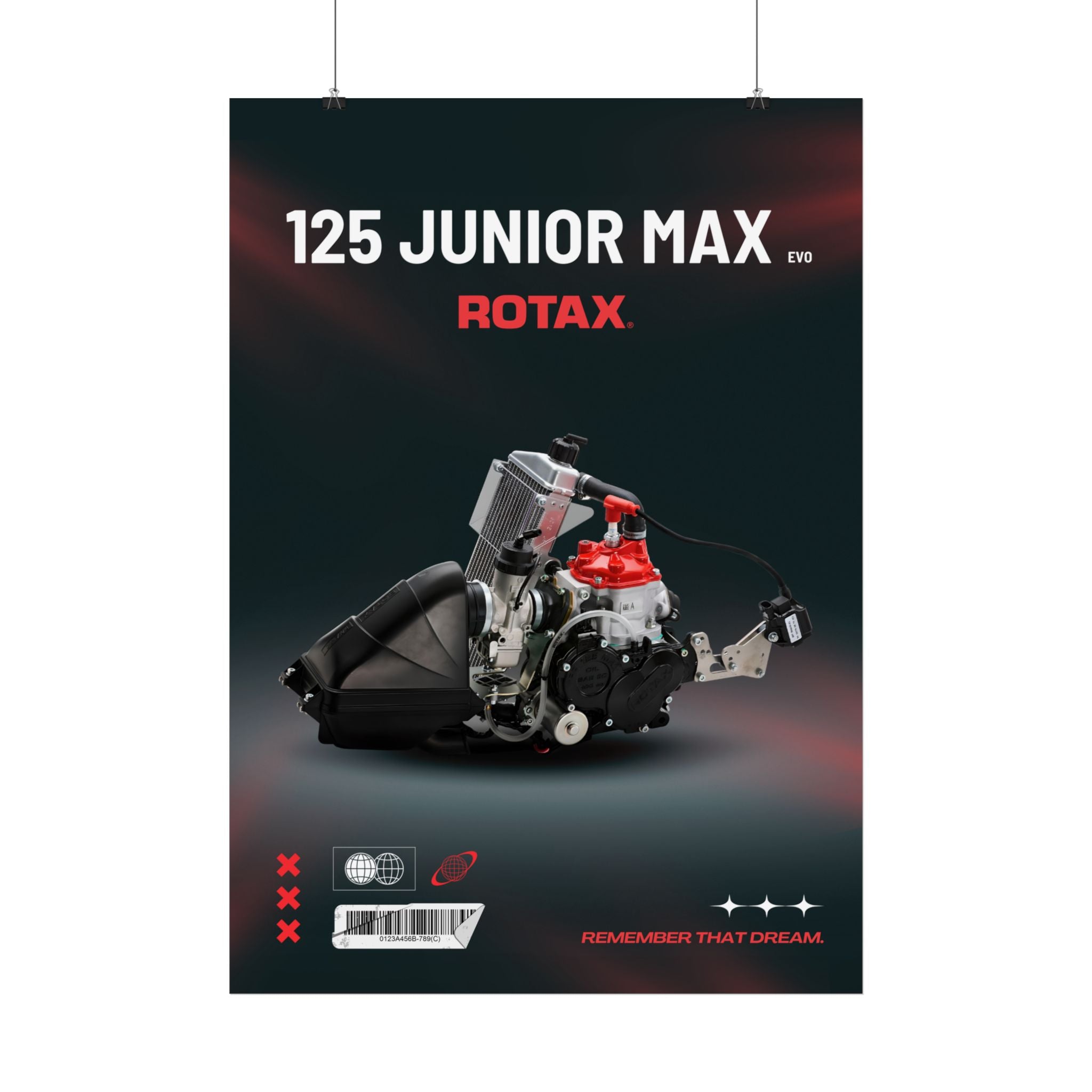 Rotax Engine Posters