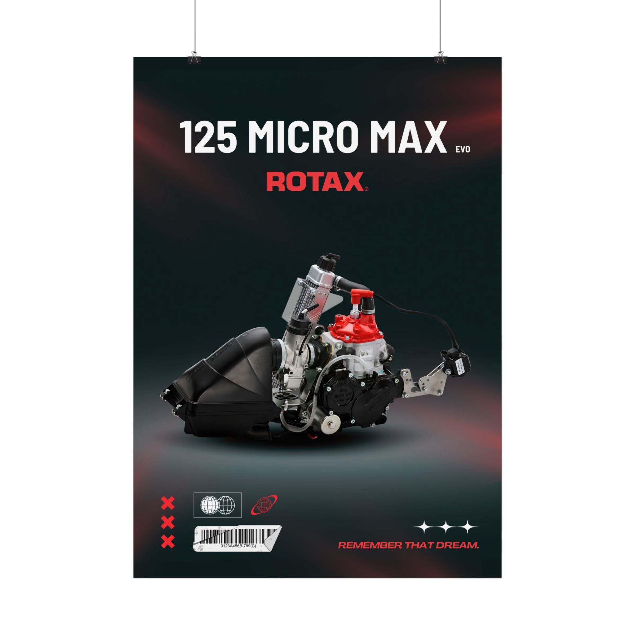 Rotax Engine Posters