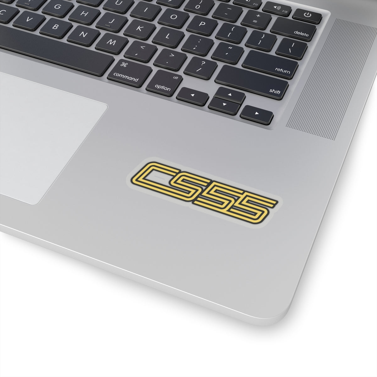 CS55 Sticker